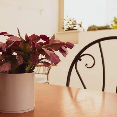 Nocleg ze śniadaniem Antico Palmento 4*